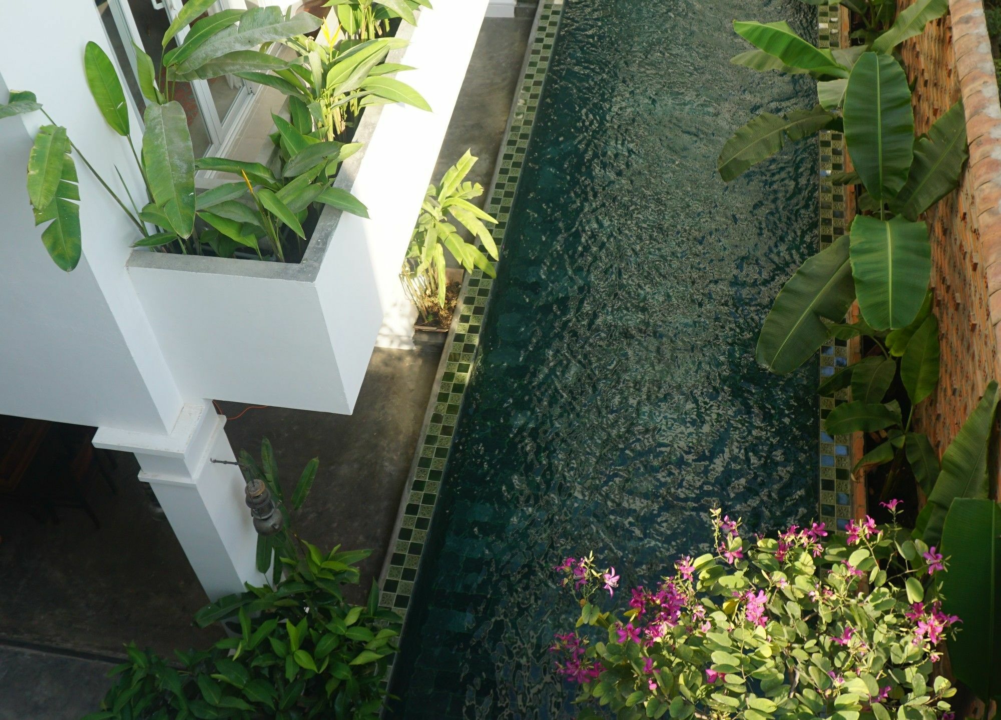 Iam Saigon Homestay مدينة هوشي منه المظهر الخارجي الصورة