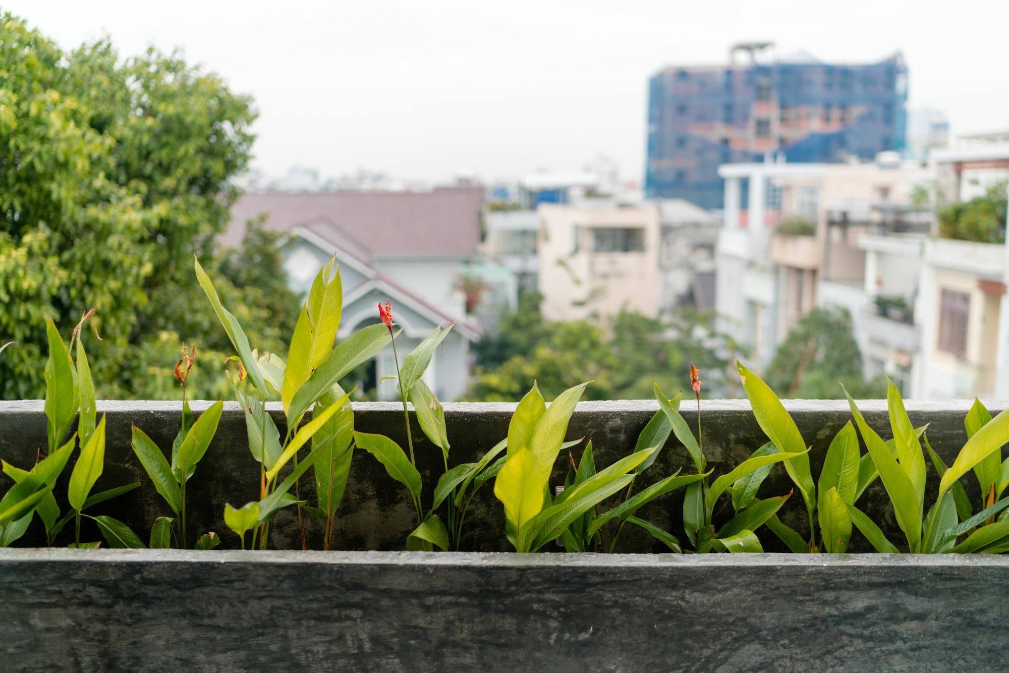 Iam Saigon Homestay مدينة هوشي منه المظهر الخارجي الصورة