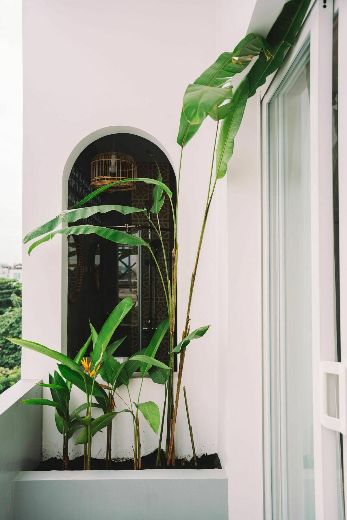 Iam Saigon Homestay مدينة هوشي منه المظهر الخارجي الصورة